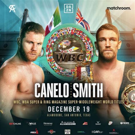 canelo alvarez next fight 2020.